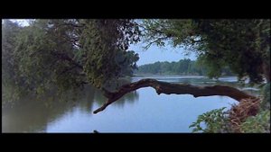 Боги сошли с ума