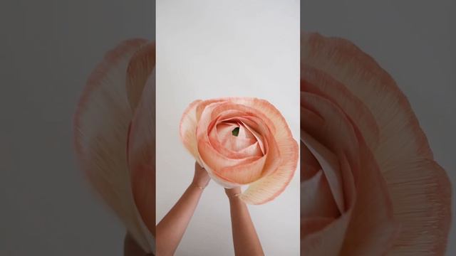 DIY giant paper flower ranunculus #diy #paperflower #papercraft