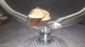 Купили Рыбку Петушка