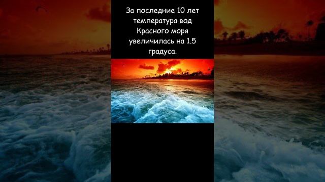 А знаете ли вы? Интересные факты из жизни #12
