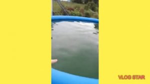 Как очистить воду в бассейне . Зеленая вода опять прозрачная !!!