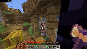 Minecraft TAS World Record in 29.1 | 1.16.1 any%