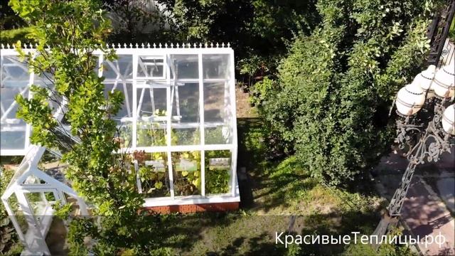 Теплица в английском стиле "ЕЛИЗАВЕТА" смотреть онлайн