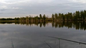 Здесь поймает даже ребенок|Торфяник по Дмитровке|Юный рыбак обловил отца