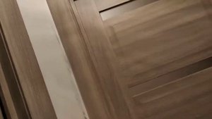 Обзор дверей фабрика Эстет