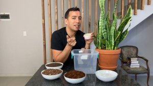 My best houseplant potting mix recipe | Houseplant soil mix