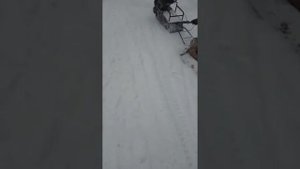 Мотособака 6.5 л.с покатушки