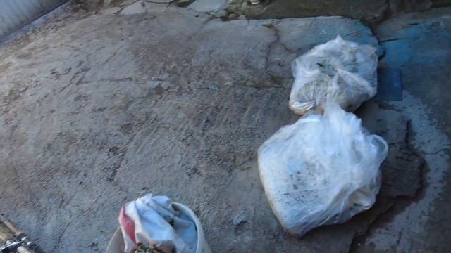 #ГОТОВИМ #РЫБУ#ДОМА #Алматы.#Капшагай#Сазан #Змейголов #Карась .#Баканас. #Хе и #Жареха. смотреть онлайн