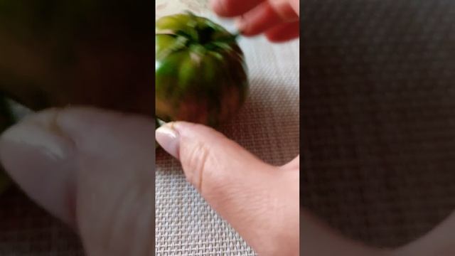 ТОМАТ ПОЛОСАТЫЙ ШОКОЛАД