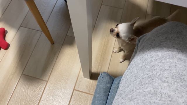 КАСЯ ИСПОРТИЛА ОБУВЬ/ОДЕЖДА ИЗ СЕКОНДА смотреть онлайн