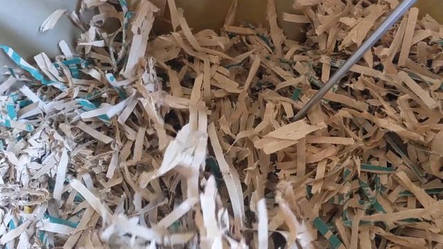 Hot Frog Living Composter Year 1 Day 38 - Baiting and Mini Split of Tier 4 Vermicomposting смотреть онлайн