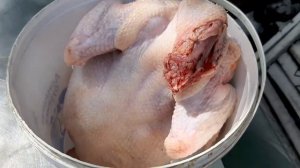 Перосъемная машинка для бройлеров из стиральной машинки...это работает...