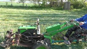 Сенокос озимой пшеницы! Как заготовить много сена!