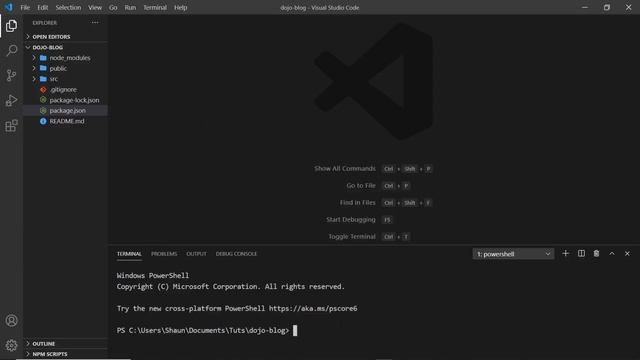 Learn React for beginners (create react app)