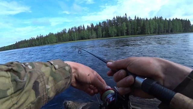 СЕВЕРНАЯ КАРЕЛИЯ / Речка по колено, полна щук и окуней / Рыбалка на спиннинг в глухой тайге смотреть онлайн