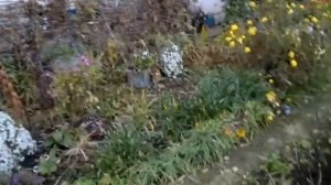 Палисадник около моего дома - дело рук одного человека-пенсионера! В конце октября!