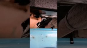 Opel astra 1.3 16v turbo diesel 2006 change oil and filter.