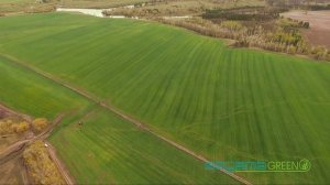 Рулонный газон Самара. Производитель рулонного газона в Самаре - Sagama Green