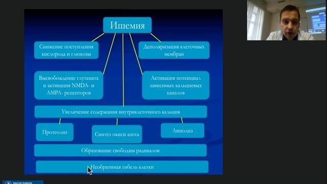 Андреев В.В. Лечение пациентов с хронической ишемией головного мозга.