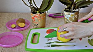 Уход За Орхидеей После Покупки. НЕОБЫЧНЫЙ СПОСОБ