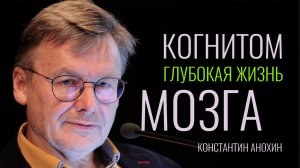 Когнитом - глубокая жизнь мозга . Константин Анохин