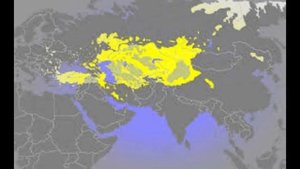 Тюрки Алпаут тюркское (огузы) племя кызылбашей Кара-Коюнлу Азербайджан