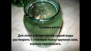 Моченый (квашеный)виноград.