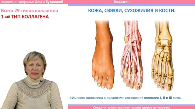 Соединительная ткань. Главный структураный ресурс здоровья человека. Вебинар Dr О. БУТАКОВОЙ