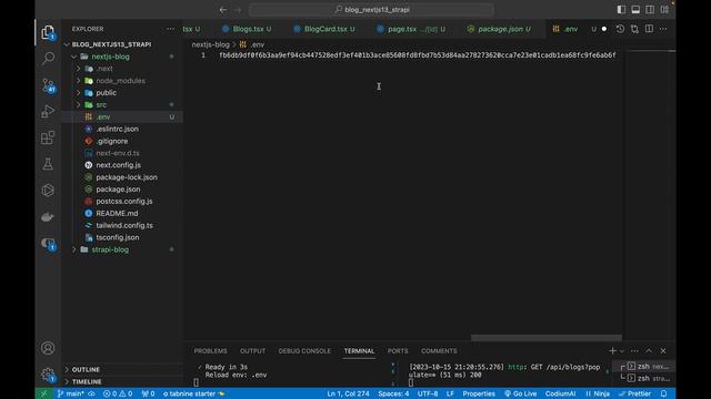 Build A Blog App with Next.js 14 | Strapi v4 Headless CMS and Tailwindcss