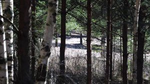 бухта Батарейная Сосновый бор