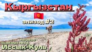 Кыргызстан 🇰🇬/знакомство с Иссык-Куль/эпизод #2