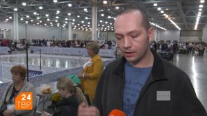 Ирландский мягкошерстный пшеничный терьер – не больше и не меньше | Сергиев Посад