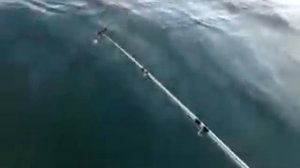 Смотреть Ловля Спиннингом На Черном Море С Берега Воблерами,Алексей Шанин Видео "Рыбацкая Правда"