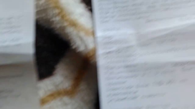 На машине в Сочи из Питера в 2019г - сколько денег ушло? Газпромнефть не начисляет бонусы?! смотреть онлайн