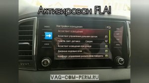Скрытые функции для Skoda Karoq 2019 2020 2021 2022 (FLA, VIM, XDS и активация других опций) ?