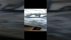 бизнес на червях