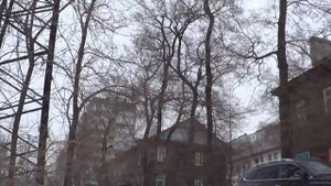 Владивосток пешком от Военного шоссе до Баляева.