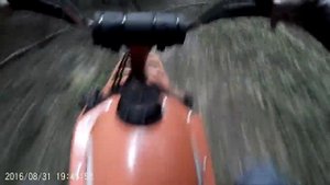 Мотовездеход 2х2 из Беларуси. В лесу #1