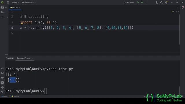 Working with NumPy Arrays | Working with NumPy ndarrays | SuMyPyLab