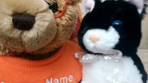 Чистоговорки с буквой С.