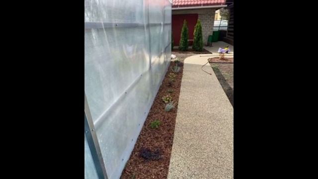 Каменный ковер "Elastopave" в Альметьевске. Звоните: 8 (903) 344-53-11 Андрей Владимирович смотреть онлайн