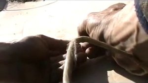 Чистка и настройка карбюратора ВАЗ 2101-2107 классика.  Автомастер