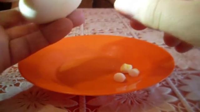 Насадка для мирной рыбы . Насадка из яйца.