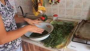 Сушка петрушки и морковной ботвы в ручную. Как сушить зелень.