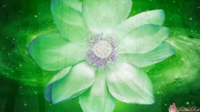 МАНТРА НЕЖНОСТИ И ЛЮБВИ смотреть онлайн