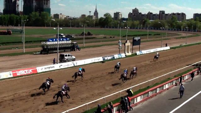 Московский ипподром. Скачки. 14.05.17. Скачка 7(9). ПРИЗ В ЧЕСТЬ 45-ЛЕТИЯ А,АЛЬБЕРДИЕВА смотреть онлайн