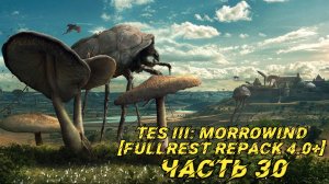 TES III Morrowind [Fullrest repack 4.0+]📜30. Гильдия магов Альдруна