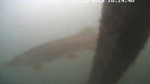 Щука в Юрково смотреть онлайн