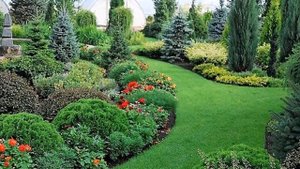 Мой прекрасный сад. Виды цветников. Миксбордеры. Mixborders..