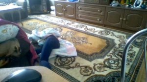 Балуемся с подругой хехеххехе